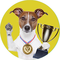 adult-dog-training