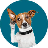 jrt-listening-200
