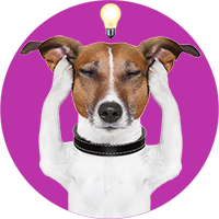 jrt-paws-covering-ears-200