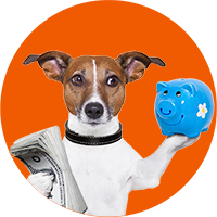 jrt-with-piggybank-200
